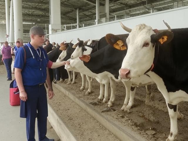 Минсельхоз планирует увеличить производство молока к 2025 году